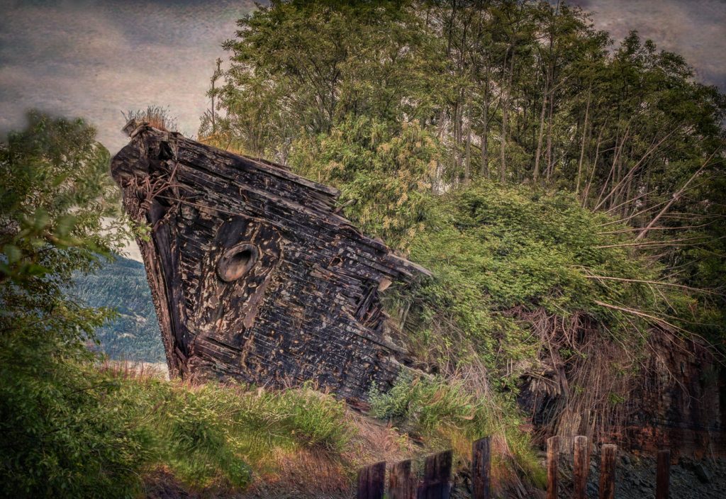 Ship Of Trees - Alana Starkweather